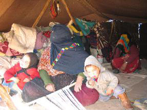 <베르베르 여인들>